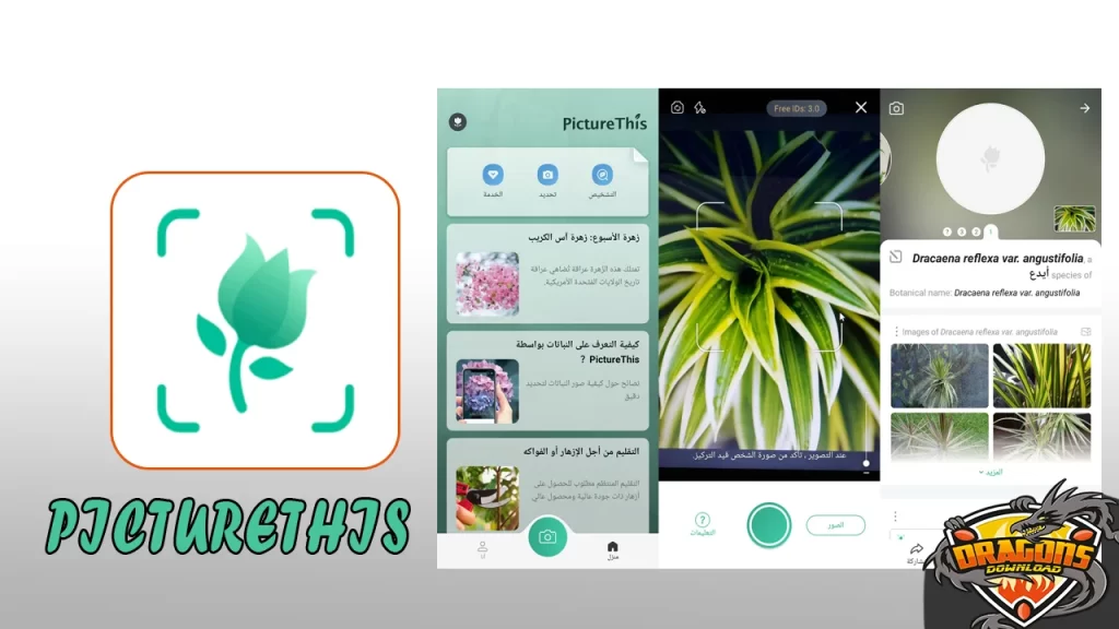 تطبيق التعرف على النباتات PictureThis (1)