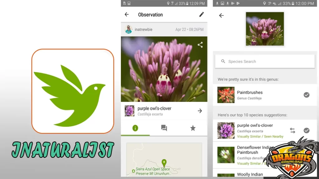 تطبيق iNaturalist للتعرف على النباتات