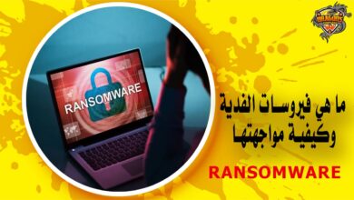 ما هي فيروسات الفدية وكيفية مواجهتها Ransomware