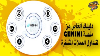 دليلك الخاص عن منصة Gemini لتداول العملات المشفرة