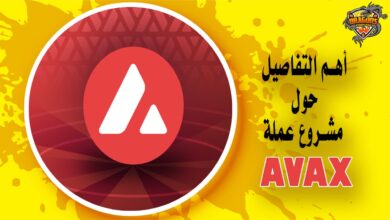 تعرف على أهم التفاصيل حول مشروع عملة  AVAX