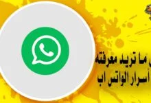 شرح واتس اب من الألف إلى الياء - الدليل الشامل لاستخدام الواتس اب
