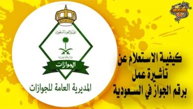 كيفية الاستعلام عن تأشيرة عمل برقم الجواز في السعودية