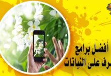 أفضل برامج التعرف على النباتات