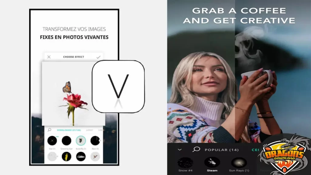 عيوب برنامج Vimage