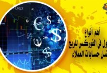 أهم أنواع التداول في الفوركس للربح وأفضل حسابات العملاء