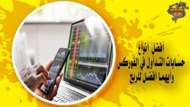 أفضل أنواع حسابات التداول في الفوركس وأيهما أفضل للربح