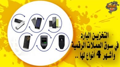 التخزين البارد في سوق العملات الرقمية.. وأشهر 4 أنواع لها